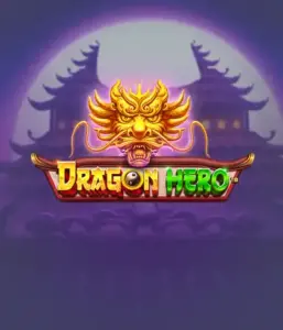 Embark on a legendary quest with the Dragon Hero game by Pragmatic Play, highlighting breathtaking visuals of mighty dragons and epic encounters. Venture into a world where legend meets thrill, with symbols like enchanted weapons, mystical creatures, and treasures for a thrilling adventure.